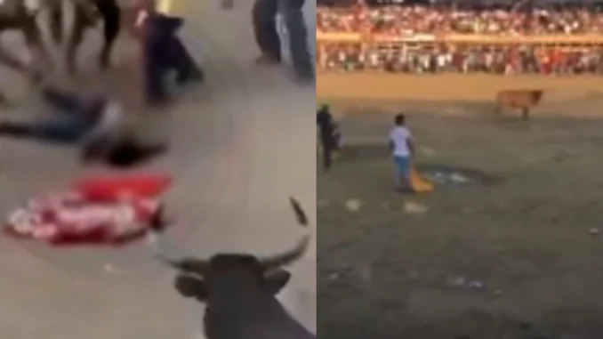 Corralejas dejan 3 heridos en Antioquia y 2 muertos en Córdoba