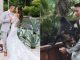 simia se coló en matrimonio