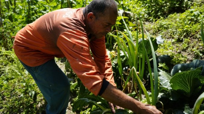 En Medellín hay convocatoria para la creación de huertas.