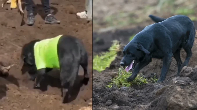 Jacob lleva varios días buscando desesperadamente a su familia, sepultada tras el deslizamiento de Alausí, Ecuador.