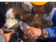 El rescate milagro se dio en Turquía, de entre los escombros del terremoto.