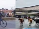 Vacas, aeropuerto, José María Córdova, Rionegro, video, viral, tránsito, Q’Hubo Medellín