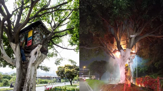 casa en el árbol