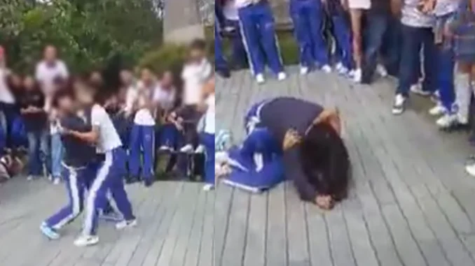 pelea colegio