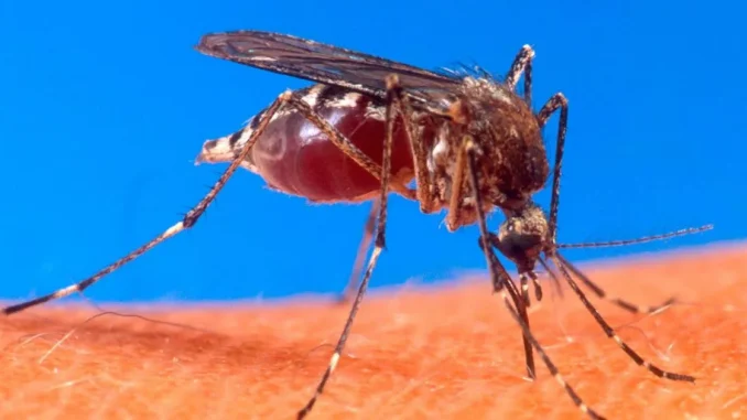 Alerta por dengue en Colombia