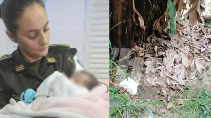 El bebé fue encontrado en la noche de ayer, pero se encuentra en buen estado de salud.