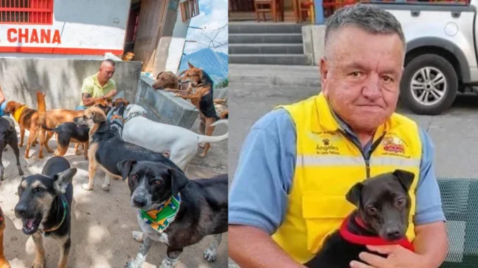 Jaime López tenía un refugio a donde llegaban animales de todas partes del departamento.