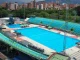 La mujer se encontraba nadando junto a su esposo en la piscina olímpica cuando comenzó a sentirse mal.