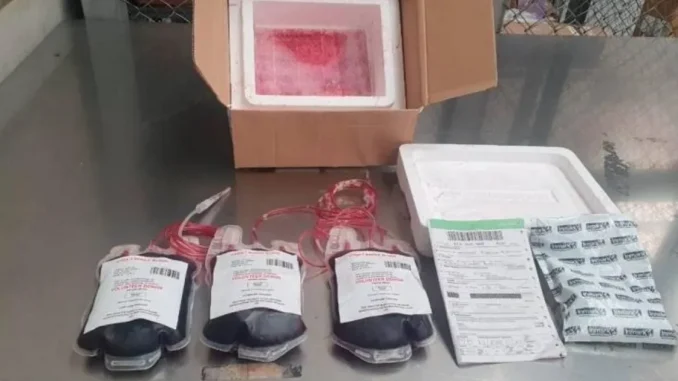 Cocaína-camuflada-entre-sangre-1