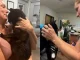 Mujer-se-reencontró-con-gato-después-de-10-años-