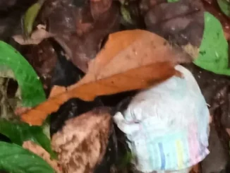 Pañal-nueva-pista-en-búsqueda-de-menores-en-Guaviare-