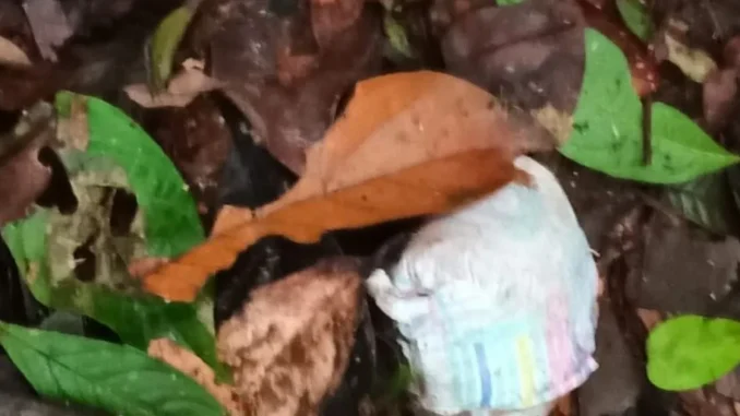 Pañal-nueva-pista-en-búsqueda-de-menores-en-Guaviare-