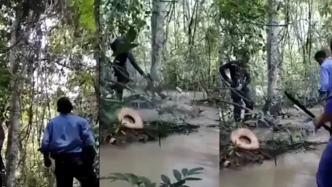 Repudiable acto: Cazadores mataron a balazos a un jaguar
