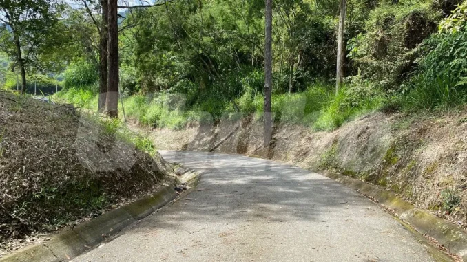 Cadaver-encontrado-en-la-curva-de-Rodas