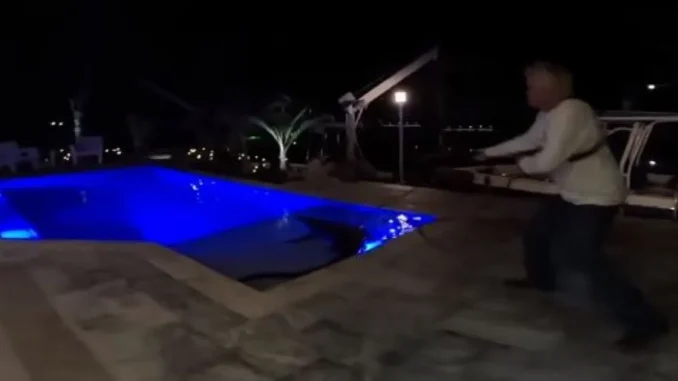 Cocodrilo-en-una-piscina-