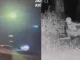 El supuesto extraterrestre en Estados Unidos fue avistado en la ciudad de Las Vegas.