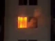 Incendio Apartamento Bello