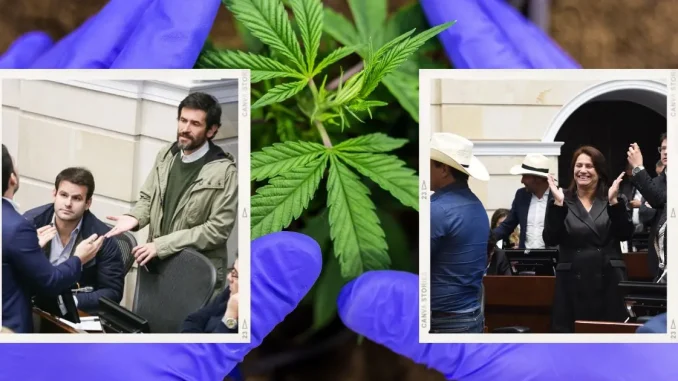 Se-hundió-proyecto-para-regular-el-consumo-de-Cannabis-