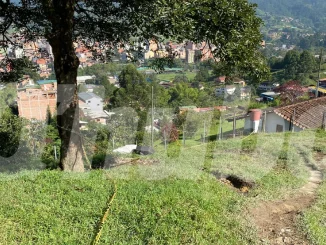 A puñaladas mataron a un hombre en Caldas