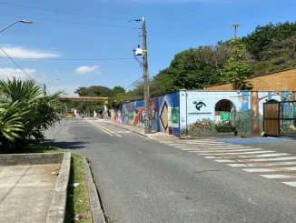 Parque de la Conservación afectado por robo de cableado eléctrico