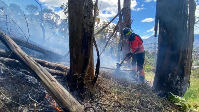 Bomberos-controlaron-incendio-en-Santa-Elena