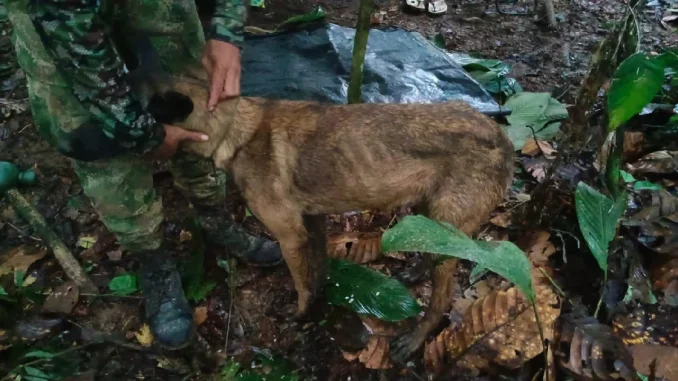 Por esta foto, muchas personas aseguraron que ya habían encontrado a Wilson en Caquetá.