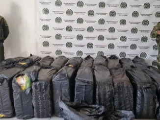 En esas bolsas estaban empacadas los paquetes de marihuana hallada en Sonsón.