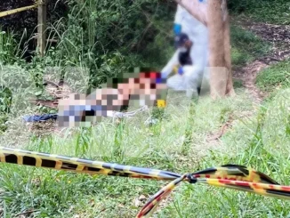 Encontraron un hombre muerto en el Cerro El Volador