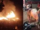 Se incendió una caballeriza en Sabaneta