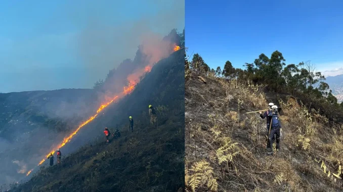 Incendio forestal, emergencia climática, Fenómeno del Niño, clima, bosque, naturaleza, pirómanos, Seminario Mayor, Túnel de Oriente, Q’Hubo Medellín, noticias hoy, Q’Hubo de hoy, bomberos