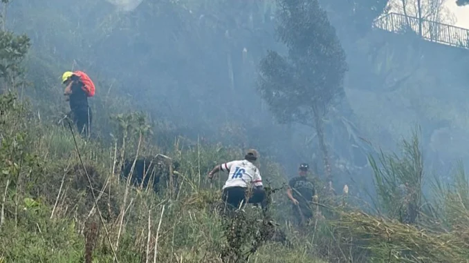 El incendio en el cerro El Picacho tardó 12 horas en ser controlado.