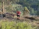 Incendios-forestales-en-Medellin-1