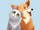 Mascotas
