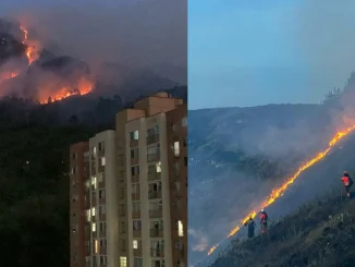 Así fue el incendio en zona boscosa entre el Seminario Mayor y el Túnel de Oriente.