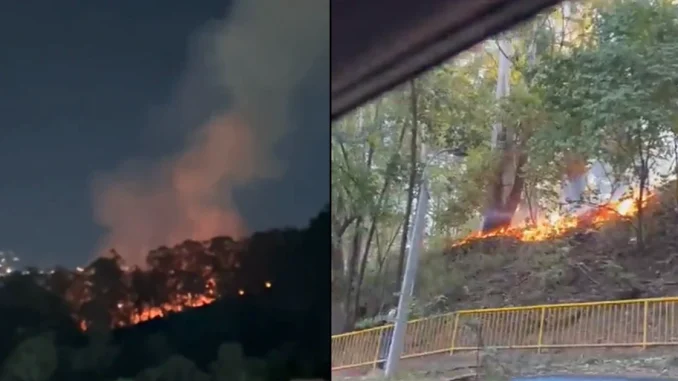 El Cuerpo de Bomberos de Medellín atendió tres incendios de cobertura forestal el pasado martes 8 de agosto.