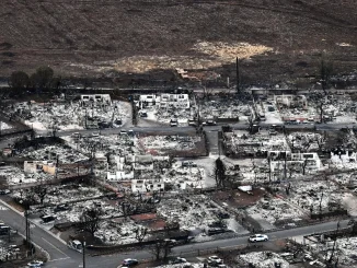 Los incendios en Hawái son considerados la mayor catástrofe que ha experimentado la isla estadounidense.