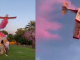 Avioneta