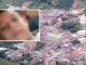 Liberan a niño que secuestraron en el Suroeste antioqueño