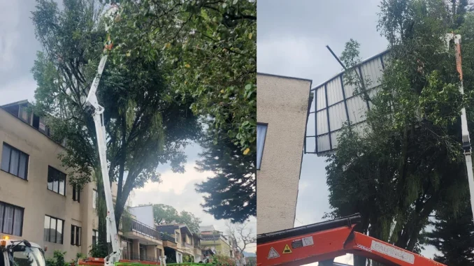 El vendaval en Envigado no dejó personas heridas pero sí algunos daños materiales.