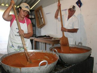 Día del arequipe