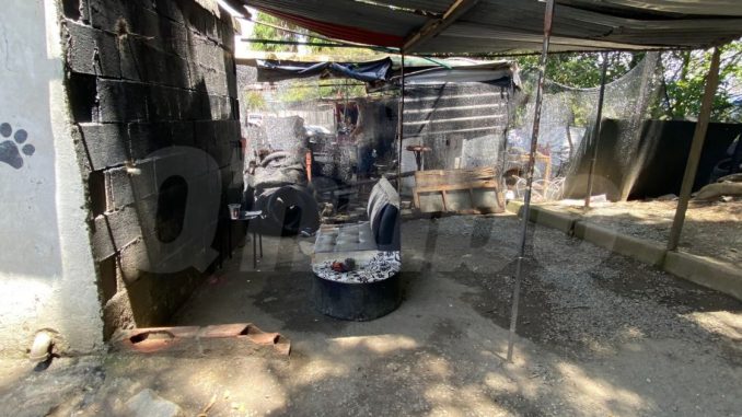 Diego muerto en mueble de Florencia